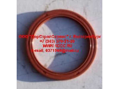 Сальник 30x42x6 ТНВД Scania ЕВРОПА  фото 1 Мурманск