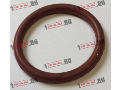 Кольцо уплотнительное штуцера форсунки резиновое F FAW (ФАВ)  для самосвала фото 1 Мурманск